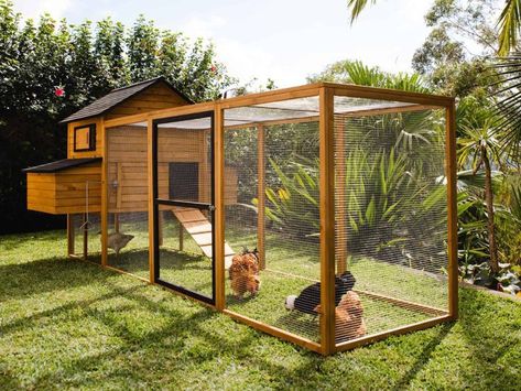 Chicken Coop And Run, Coop And Run, Chicken Coop Ideas, Walk In Chicken Coop, Chicken Coop Garden, Chicken Coup, Chicken Coop Run, Backyard Chicken Farming, Coop Ideas