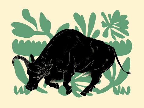 Bull Illustration Design, Bull Graphic Design, Bull Art Illustration, Bull Illustration, Bull Drawing, Cartoon Bull, Angry Bull, Bull Painting, Art Deco Lines