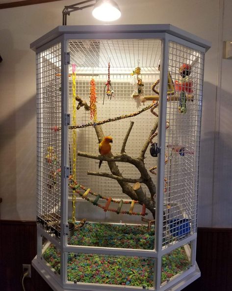 Cage Ideas For Birds, Parrot Cage Decoration Ideas, Conure Bird Cage Ideas, Macaw Cage Ideas, Bird Cage Setup Ideas, Parrot Cage Ideas Design, Diy Parrot Cage, Indoor Bird Room Ideas, Bird Cage Decor Ideas