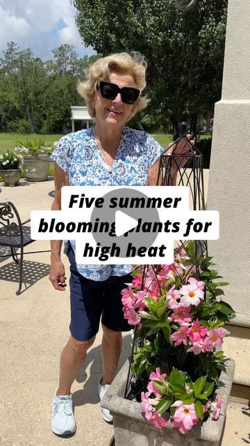 Plant Instagram, Full Sun Garden, Landscape Hardscape, Big Leaf Hydrangea, Hardiness Zones, Plant Zones, Gardening Zones, Landscape Plants, Zone 9