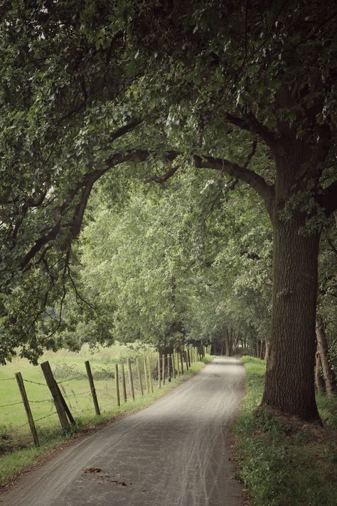 Dirt Road, Back Road, English Countryside, Take Me Home, Country Road, Nature Aesthetic, Pretty Places, Country Life, Farm Life