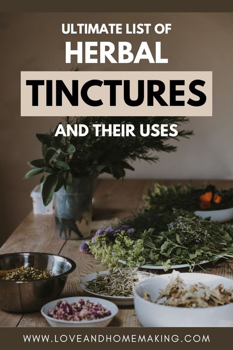 Plants For Healing, Herb Tinctures, Tinctures Recipes, Herbal Education, Herbal Medicine Recipes, Herbal Remedies Recipes, Diy Herbal Remedies, Medicinal Herbs Garden, Herbal Tinctures