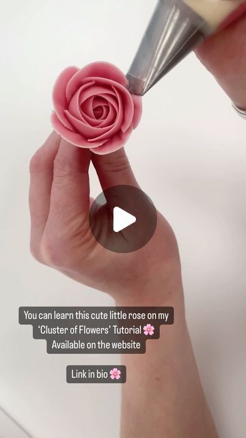 Alice Ward on Instagram: "124k mini rose tutorial on the website 🌸💕  This tutorial will show how to pipe two different mini roses with 2 different nozzles as well as some two tone tulips.  It is the longest in duration out of my individual tutorials and costs £8. www.petalsbakehouse.co.uk/tutorials  . #cake #cupcakes #cupcakedecorating #flowers #piping #edibleflowers #buttercreamflowers #petalsbakehouse" Russian Rose Piping Tips, Piped Roses On Cake, Wilton Flower Tutorial, How To Make A Frosting Rose, Mini Rose Cupcakes, How To Make Rose Cupcakes, Piping Roses Tutorial, How To Pipe A Rose On A Cupcake, Flower And Fruit Cake