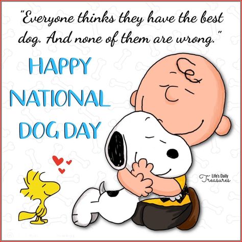 Snoopy Holiday, National Holiday Calendar, Goodnight Snoopy, Tweety Bird Quotes, Peanuts Quotes, Charlie Brown Quotes, Miss My Dog, Happy National Dog Day, International Dog Day