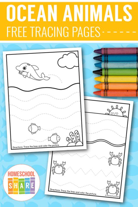 Ocean Habitat Preschool Activities, Water Animals Worksheets For Kids, Preschool Ocean Activities, Ocean Prek, Habitats Preschool, Animal Habitats Preschool, Ocean Animals Preschool, Ocean Activities Preschool, Prek Themes