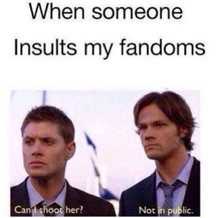 When someone insults my fandom...can substitute 'fandom' for 'friends' or 'sisters' and it would still apply Film Memes, George Ezra, Fangirl Problems, Sam Dean, Tyler Posey, Tyler Hoechlin, Odaiba, Supernatural Fandom, Samar