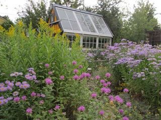 Gardening with native perennial flowers, a bit more research ahead of time, but what a wonderful garden it will be. Native Plant Landscape, Outdoor Space Design, Garden Bugs, Native Plant Gardening, Green Houses, Wildlife Gardening, Garden Rooms, Garden Sheds, Tree Houses