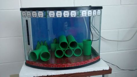 http://www.instructables.com/id/Mario-Bros-Fish-Tank/ Mario Fish Tank, Super Mario Nintendo, Something Creative, Hama Beads Minecraft, Cool Minecraft Houses, African Cichlids, Mario Nintendo, Lego Lego, Lego House