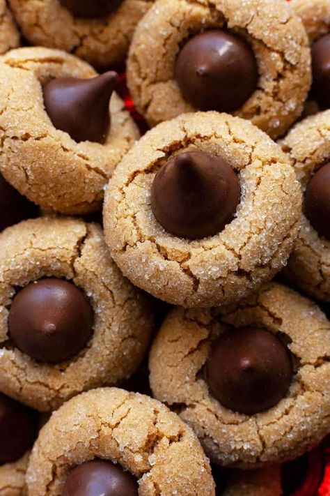 The BEST Peanut Butter Blossoms | Foodtasia Peanut Blossom Cookies, Peanut Butter Blossoms Recipe, Peanut Butter Blossom, The Chunky Chef, Peanut Blossoms, Butter Blossoms, Sallys Baking, Chunky Chef, Once Upon A Chef