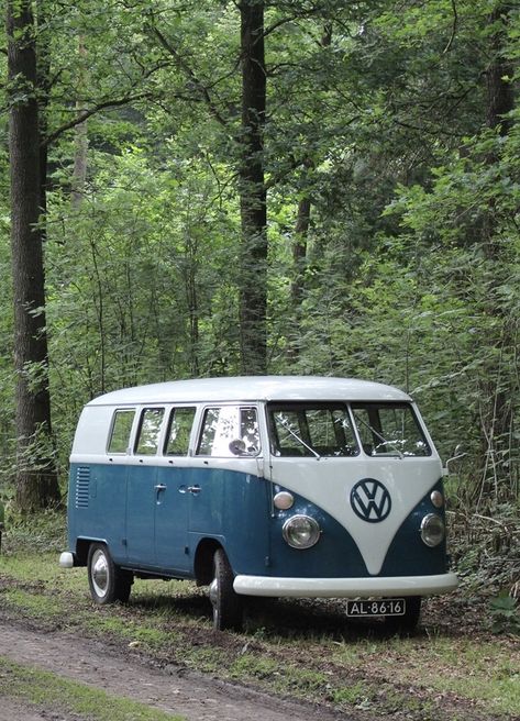 Volxwagon Van Aesthetic, Vintage Volkswagen Bus, Vw Wagon, Vans Aesthetic, Kombi Motorhome, Volkswagen Camper Van, Volkswagen Van, Vintage Vw Bus, Combi Volkswagen