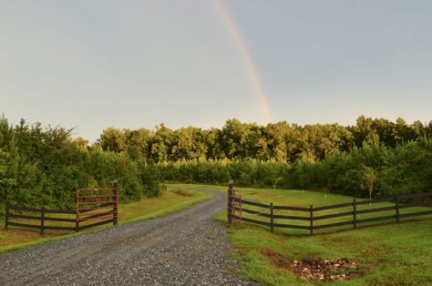 Rural Driveway, Grass Pavers Driveway, Driveway Design Ideas, Country Driveway, Driveway Materials, Permeable Driveway, Grass Pavers, Long Driveway, Recycled Concrete