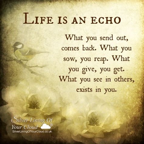 La vida es un eco. Aquello que envías vuelve.  Lo que coses, lo descoses. Lo que das, recibes.  Lo que ves en los otros, existe en ti. What You Give Is What You Get, What You See Is What You Get Quotes, I Exist Quotes, You Get What You Give, Life Is An Echo, Get What You Give, Fantastic Quotes, Reap What You Sow, Reflection Quotes