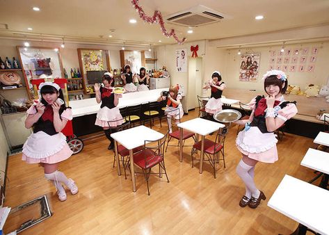 5 Maid Cafes in Tokyo You Won't Want To Miss - LIVE JAPAN (Japanese travel, sightseeing and experience guide) Japan Cafe, Butler Cafe, Cafe Japan, Maid Cafe, Non Binary People, Themed Cafes, Japanese Travel, Maid Uniform, Japan Travel Guide