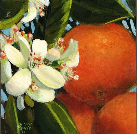 Orange Artwork, Soft Pastel Art, Orange Painting, Orange Blossoms, Rainbow Photo, Orange Bird, Orange Paint, Blossoms Art, Fruit Painting