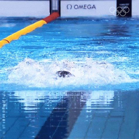 Swimming Michael Phelps GIF - Swimming Michael Phelps Olympics - Discover & Share GIFs Michael Phelps Swimming, Swimming Gif, Swimming Videos, Michael Phelps, Animated Gif, Cool Gifs, Swimming, Gif, Quick Saves