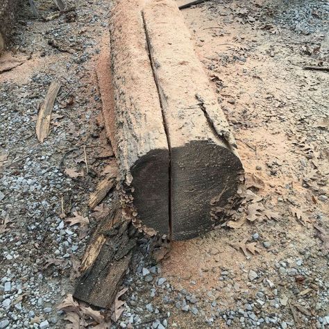 My husband went hunting a couple weeks ago and brought home a couple large logs, some became firewood and others, well, we played this afternoon and have a couple benches ready for finishing.  Great fun.   This is what we started out with.  It's roughly 10' long.  First thing was to cut it in half giving us two 5' lengths to work with.   If you look closely you can see two blue chalk lines.  That's where he'd like to cut.  That'll give us one central piece and two outside edges.  I'm t… Log Bench Diy, Diy Plate Rack, Outside Benches, Cedar Bench, Log Bench, Making A Bench, Tree Projects, Mother Daughter Projects, Bench Legs