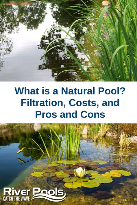 Natural Pool Diy How To Build, Naturally Filtered Swimming Pool, Natural Man Made Pool, Naturally Filtered Pool, Building A Natural Swimming Pool, How To Make A Natural Swimming Pool, Natural Salt Water Pool, Chemical Free Swimming Pool, Natural Design Pool