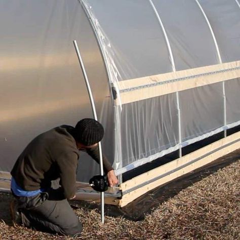 Diy Greenhouse Cheap Easy, Pvc Greenhouse Plans, Make A Greenhouse, Greenhouse Watering, Homemade Greenhouse, Greenhouse Panels, Simple Greenhouse, Pvc Greenhouse, Greenhouse Construction