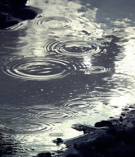 Rain And Thunder Sounds, Morning Rain, Night Rain, Rain And Thunder, Rain Rain, Love Rain, Widescreen Wallpaper, Water Ripples, Nature Water