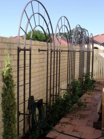 Metal Garden Arch, Big Leaf Plants, Garden Arch Trellis, Iron Trellis, Arch Trellis, Metal Trellis, Garden Arbor, Garden Arches, Garden Trellis