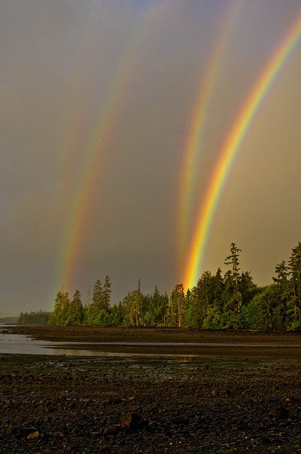 not even sure this is possible! Mirrored double rainbow in Naden Harbour, Haida Gwaii, British Columbia Canada. Rainbows In The Sky, Matka Natura, God's Promise, Doreen Virtue, Natural Phenomena, Alam Semula Jadi, Beautiful Rainbow, Beautiful Sky, Heavenly Father