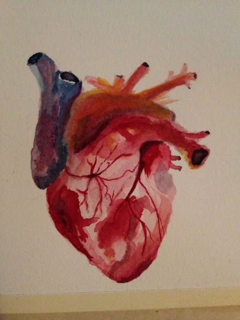 Human Heart Watercolor, Atomically Correct Heart, Heart Watercolor Painting, Watercolour Heart, Flatware Crafts, Medical Drawings, Heart Watercolor, Arte Aesthetic, Heart Artwork