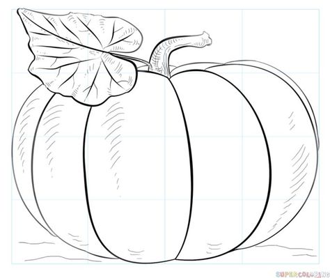 How to draw a pumpkin | Step by step Drawing tutorials | Pumpkin drawing, Fall canvas painting, Fall drawings Draw A Pumpkin, Fall Canvas Painting, Fall Drawings, Pumpkin Drawing, Pumpkin Canvas, Fall Canvas, Drawing Tutorials For Kids, Fall Coloring Pages, Pumpkin Art