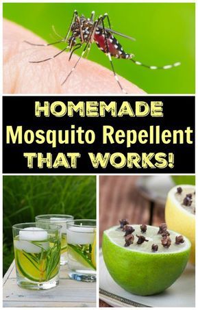 Homemade Mosquito Repellent that works! #diy Homemade Mosquito Repellent, Homemade Bug Repellent, Diy Bug Repellent, Mosquito Repellent Candle, Mosquito Repellent Homemade, Bug Repellent Spray, Diy Mosquito Repellent, Bug Spray Recipe, Mosquito Spray