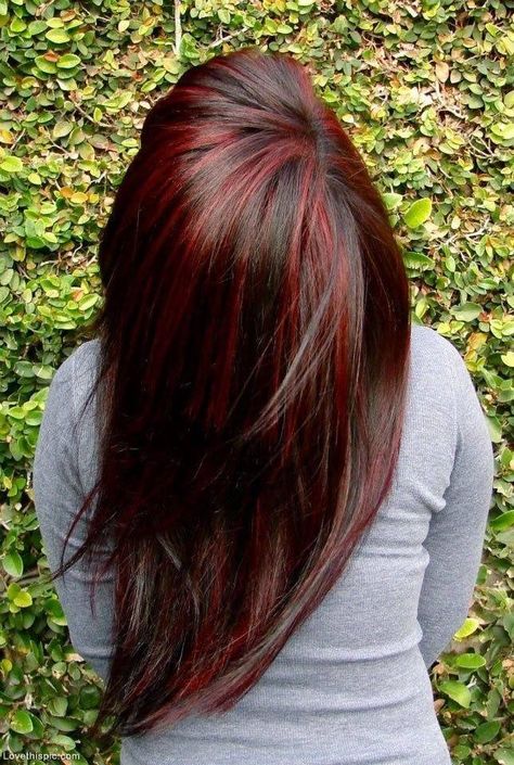 might just go with it and do red highlights to my dark brown hair, what do you think? Brunette With Red, Red Hair With Highlights, Hair Highlights And Lowlights, Fall Hair Color Trends, Dark Red Hair, Red Highlights, Penteado Cabelo Curto, Hair Color And Cut, Fall Hair Color