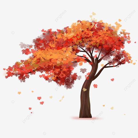 Autumn Tree Illustration, Fall Tree Drawing, Autumn Tree Drawing, Tree Clipart Png, Cartoon Grass, Plant Clipart, Fall Tree Painting, Trees Png, Fall Drawings