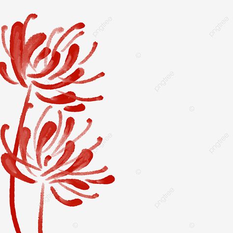 Red Spider Lily Flower Drawing, Simple Spider Lily Drawing, Spider Lily Drawing Easy, Red Lily Drawing, Red Spider Lily Drawing Tutorial, Red Spider Lily Drawing Easy, How To Draw Spider Lily, Spiderlili Drawing, Red Spider Lily Painting