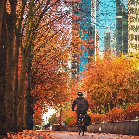 Explore Canada on Instagram: “Hop on two wheels and take in the fall colours around downtown Vancouver, one of the most bike-friendly cities in Canada. Here, you’ll find…” Vancouver Travel, Canada Photography, Granville Island, Fall Colours, Canada Destinations, Downtown Vancouver, Fall Photo, Bike Rides, Explore Canada