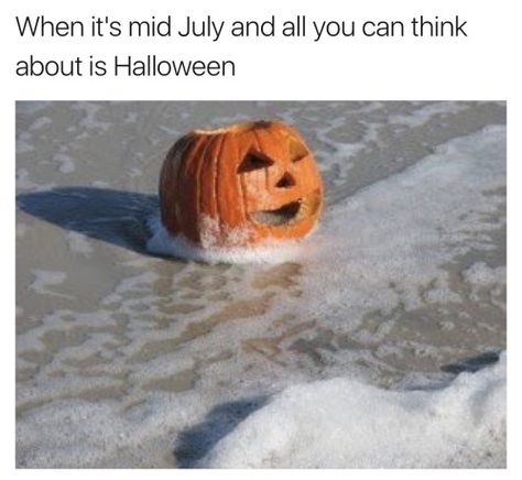 Memes for people who have zero chill when it comes to waiting for fall Halloween Meme, Marla Singer, Fall Memes, Halloween Memes, October Halloween, Halloween Cake, All You Can, Hocus Pocus, Halloween Art