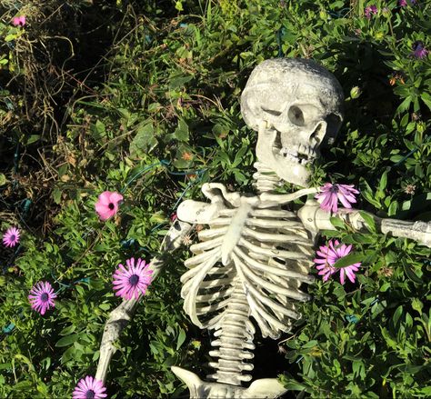 Mossy Skeleton Art, Skeleton With Flowers Growing Out Of It, Skeleton Laying Down, Skeletons Aesthetic, Esqueleto Aesthetic, Skeleton Photography, Skeleton Images, Skeleton With Flowers, Skeleton Aesthetic