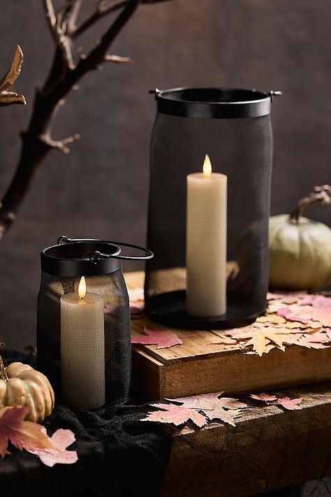 For an atmospheric glow, tuck a flickering pillar candle inside this hand-crafted lantern of fine iron mesh. | Black Mesh Lantern, Size: Small at Terrain Black Lanterns Decor, Black Fall Decor, Plant Troughs, Deco Halloween, Bunny Dishes, Ig Aesthetic, Season Decor, Organic Ceramics, Pumpkin Candles