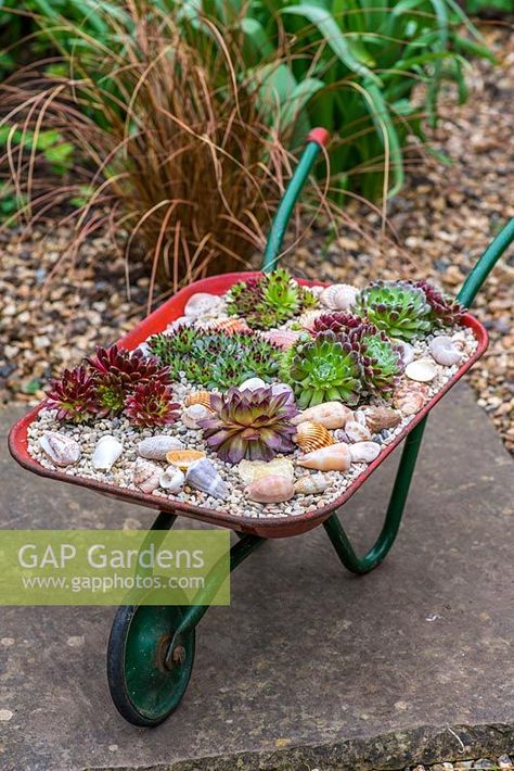 House Landscape Front Yard, Wheelbarrow Planter Ideas, Design Front House, Wheelbarrow Decor, Succulent Wall Planter, Wheelbarrow Planter, Fairy Garden Pots, Front Yard Landscape, Wheelbarrow Garden