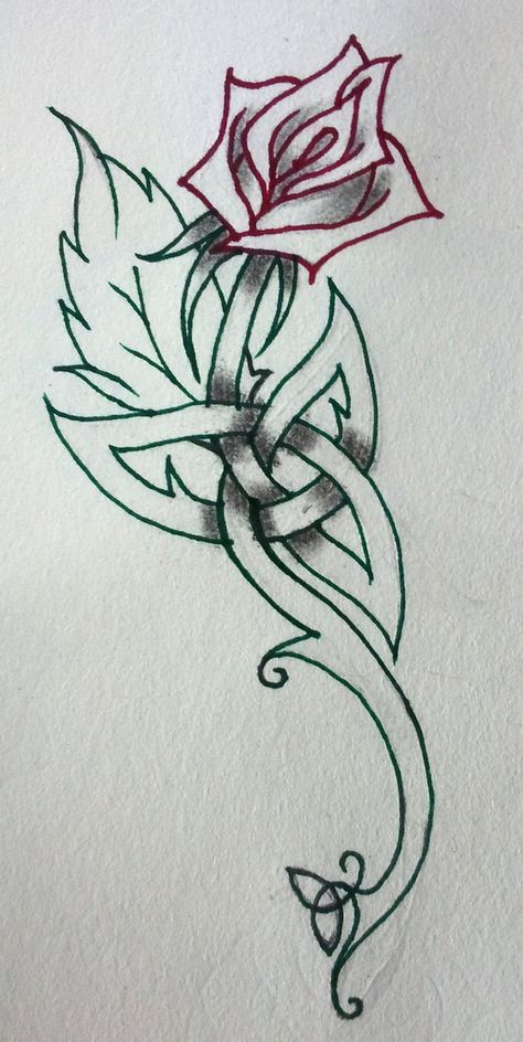 Celtic rose Wild Irish Rose Tattoo, Celtic Rose Tattoo, Scotland Quotes, Celtic Rose, Celtic Tattoo Symbols, Wild Irish Rose, White Rose Tattoos, Rose Tattoos For Women, Tattoo Stencil Outline