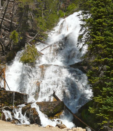 Skalkaho Falls is a short day trip up the Skalkaho Highway from Hamilton, #Montana. It's a fun ride: http://myitchytravelfeet.com/2012/06/30/skalkaho-falls/ Hamilton Mt Montana, Bitterroot Mountains, Hamilton Montana, Montana Hiking, Montana Living, Montana Trip, Montana Vacation, Montana Mountains, Montana Travel