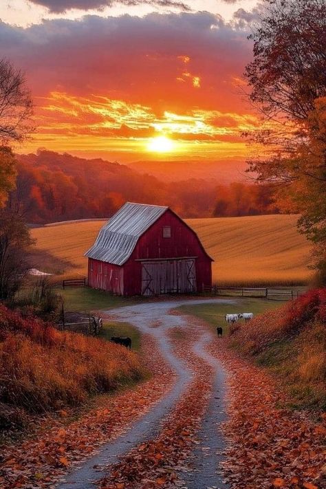 Country Fall Pictures, Autumn Scenes Country Life, Peaceful Countryside, Sunset Paintings, Autumn Farm, Fall Landscaping, Golden Fields, Barn Pictures, Cozy Cabins