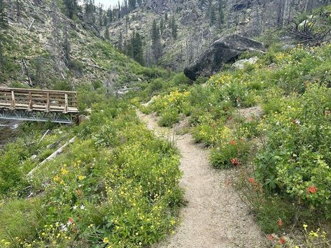 Just north of Idaho City is the Crooked River Trail. Tucked away in the Boise National Forest, this out-and-back trail is perfect for all types of hikers including families, beginning hikers, and even experienced hikers who are looking for a full-day adventure. Idaho City, Idaho Travel, Brook Trout, River Trail, Forest View, Mountain Lake, Gorgeous View, National Forest, Hiking Trails