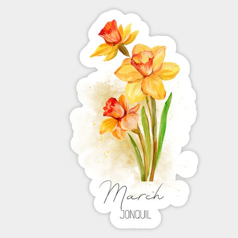 March birth flower, Jonquil birth flower. Beautiful watercolor illustration of a vibrant Jonquil, March birth month flower. You can find this elegant March birthday flower on Mugs, T-Shirts, Throw Pillows, Magnets, nature-inspired wall art, and much more. Charming and timeless gift for friends born in March. -- Choose from our vast selection of stickers to match with your favorite design to make the perfect customized sticker/decal. Perfect to put on water bottles, laptops, hard hats, and car w… Birth Flower Watercolor, Jonquil Flower, March Birth Month Flower, March Birth Flower, March Birth Flowers, Born In March, March Birthday, Birthday Flower, Flower Watercolor