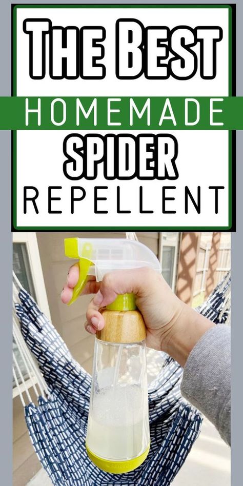 Add this DIY gardening tip to your list this spring and summer. Our DIY Homemade spider repellent spray not only works fast and safe to use, but it is very easy to make. The natural spider repellent diy essential oils will make it very effective at repelling all types of spiders. This will be your favorite homemade bug spray recipe! Get the details here today for your backyard, indoor, outdoor, garage, or anywhere spiders pop up. Spider Repellent Diy Essential Oils, Spider Repellent Diy, Homemade Spider Spray, Spiders Repellent Diy, Diy Bug Repellent Spray, Natural Spider Repellent, Diy With Essential Oils, Homemade Bug Spray Recipe, Natural Bug Spray Recipe