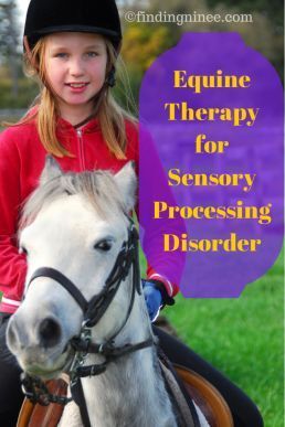 Equine Therapy Activities, Equine Assisted Therapy, Therapeutic Horseback Riding, Horse Business, Therapeutic Riding, Equine Therapy, Horse Info, Horse Therapy, Therapy Animals