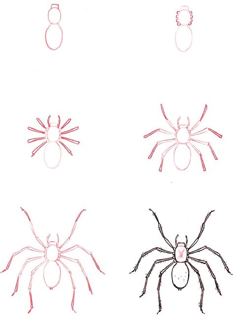 Learn to draw: Spider Spider How To Draw, How To Draw A Spider Step By Step, Spider Drawing Step By Step, Spider Cartoon Drawing, How To Draw Spider, Drawings Of Spiders, Drawing A Spider, How To Draw A Spider, Spider Art Drawing