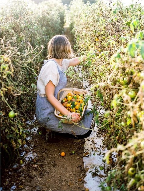 Funny Vine, Farm Images, Pallet Patio, Farm Lifestyle, Future Farms, Meteor Garden 2018, Garden Photography, Kew Gardens, Gardening Supplies