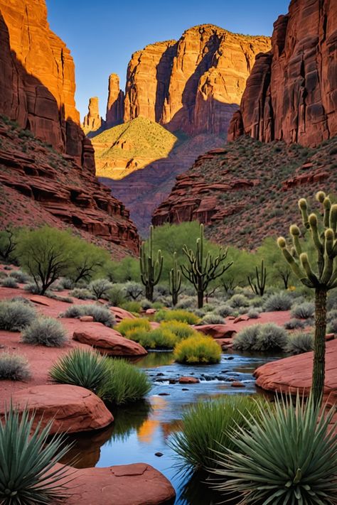 10 Must-Visit Places in Arizona for an Unforgettable Trip! Arizona Travel Aesthetic, Pretty Places To Travel Aesthetic, Desert Summer Aesthetic, Western Landscape Photography, Arizona Travel Places To Visit, Usa Beautiful Places, Crazy Landscapes, Dessert Landscape, Oregon Desert