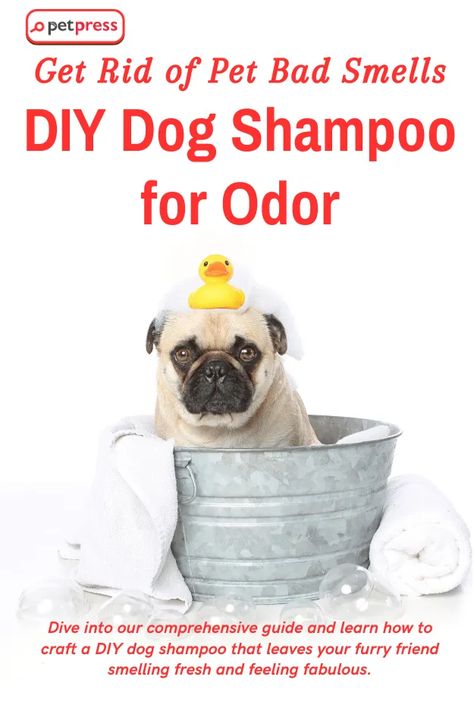 Love your four-legged buddy, but not the smells they bring into your home? 🏡 We've got you covered! Learn how to make your very own DIY dog shampoo for odor. 🐾 Our guide is easy to follow and uses natural, affordable ingredients. You can say goodbye to that unwanted doggy smell and hello to a fresh, clean pooch! It's time to transform your pet care routine with a homemade solution that's as good for your dog as it is for your wallet. #DIYDogShampoo #PetCareTips #DogLovers Homemade Dog Breath Freshener, Diy Pet Shampoo, Deodorizing Dog Shampoo Diy, Best Puppy Shampoo, How To Make Your House Not Smell Like Dog, Homemade Dog Conditioner, Dog Cologne Diy, How To Make My Dog Smell Better, Best Dog Shampoo For Odor