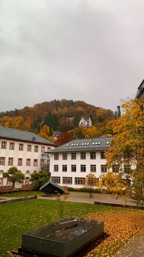 Heidelberg Germany University, Heidelberg University Aesthetic, German Lifestyle Aesthetic, Germany University, German University, Men Outfits Aesthetic, 2025 Goals, Heidelberg University, Dream University