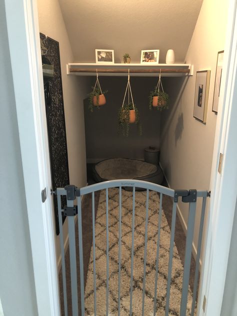 Under Stairs Puppy Room, Pet Room Ideas Under Stairs, Dog Bedroom In Closet, Under Stairs Animal House, Pet Space Under Stairs, Under Stairs Dog Kennel Door, Dog Staircase Room, Understair Room Idea, Dog Kennel Ideas Indoor Under Stairs