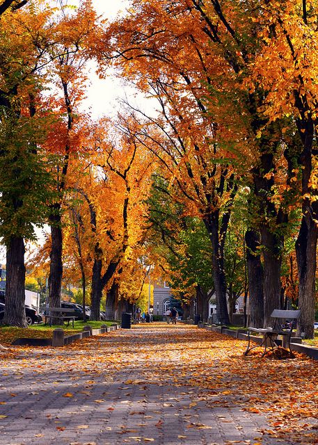 The town square, Prescott, Arizona Arizona Autumn, Arizona Beauty, Arizona Living, Arizona Adventure, Prescott Arizona, Vintage Arizona, Prescott Az, State Of Arizona, Arizona Travel